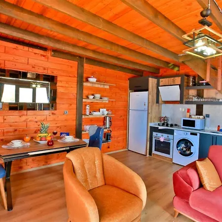Gerenlik 2 Kaş