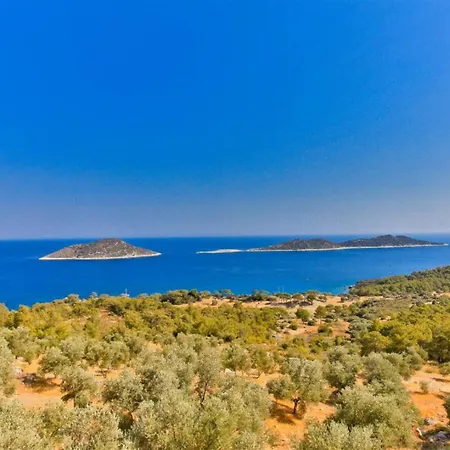 Gerenlik 2 Kaş
